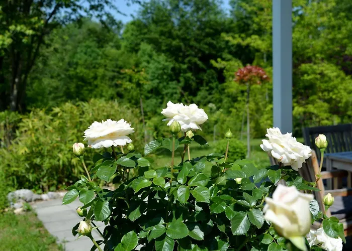 Gartenparadies *